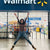 From a Golden Ticket to National Shelves in 70%+ of Walmart Canada Stores: A Defining Moment for Iris + Arlo