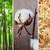 The Truth About Period Product Fibres: Wood Pulp, Bamboo, + Organic Cotton Explained