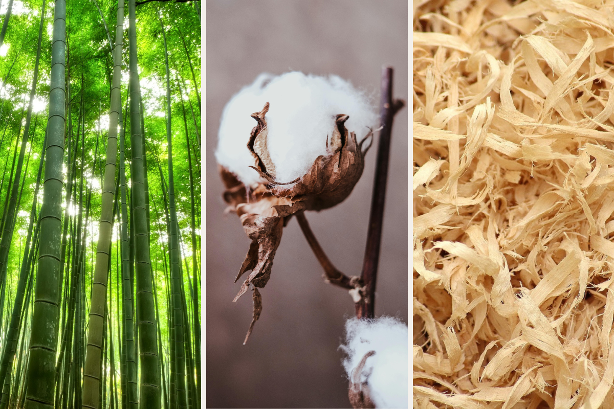 The Truth About Period Product Fibres: Wood Pulp, Bamboo, + Organic Cotton Explained