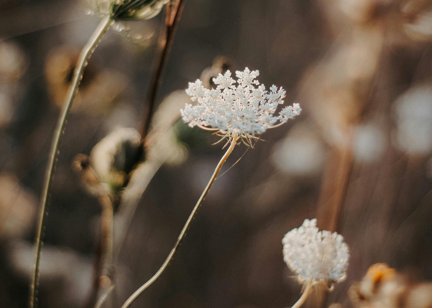 L’impact environnemental des menstruations